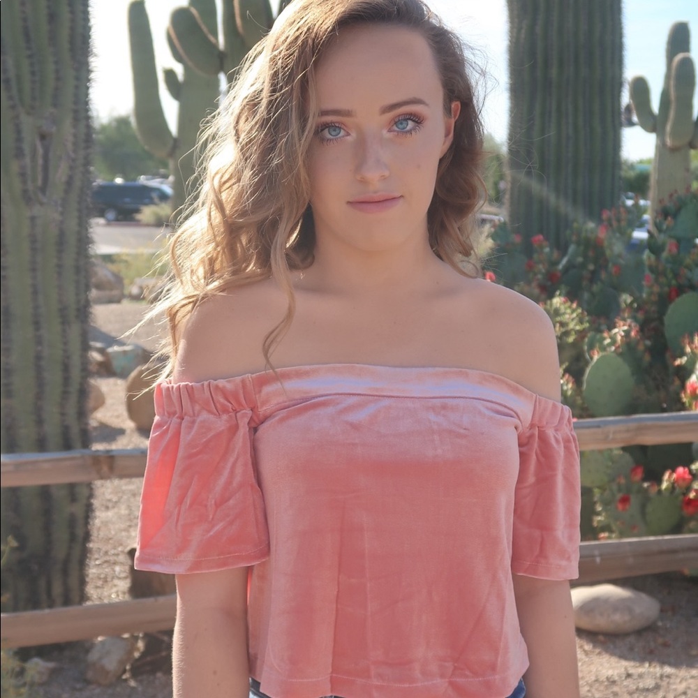 Velvet Pink Off The Shoulder Crop Top